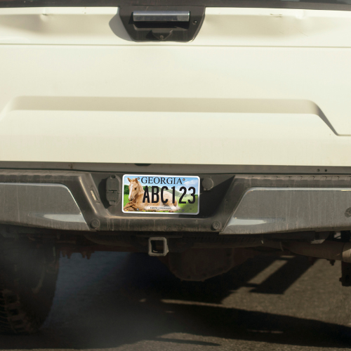 Truck with GA Equine tag